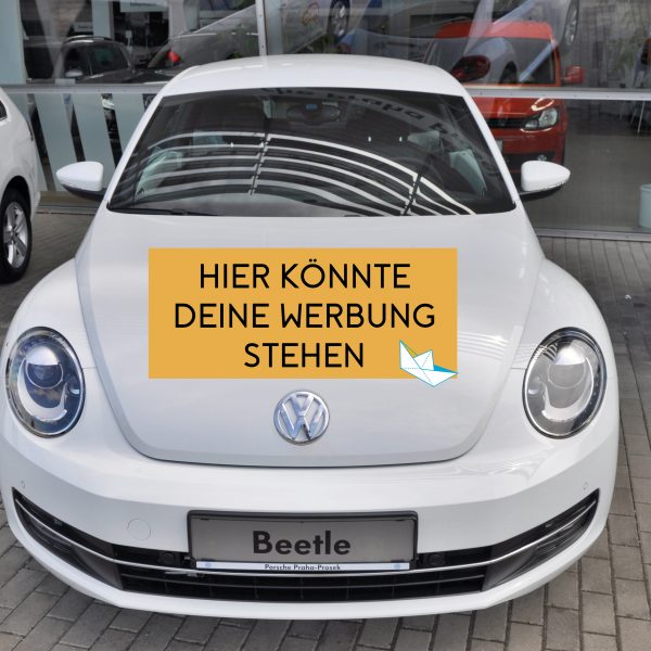 White Wolkswagen Beetle